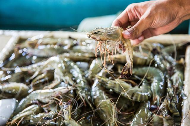 Một số công nghệ truy xuất nguồn gốc thủy sản